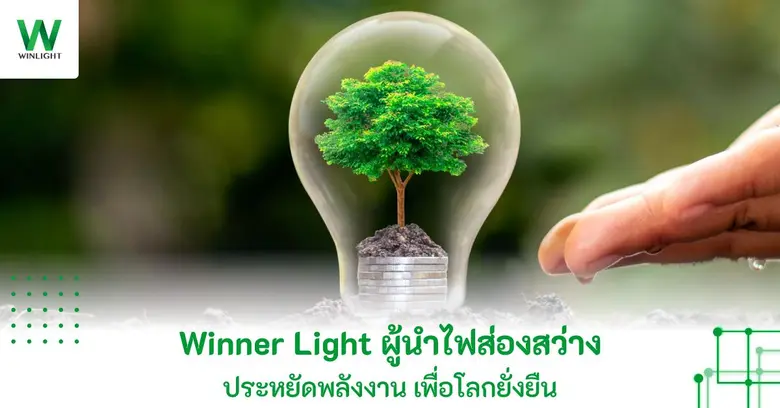Winner Light ในนามบริษัท วินเนอร์ ไลท์ คอเปอร์เรชั่...