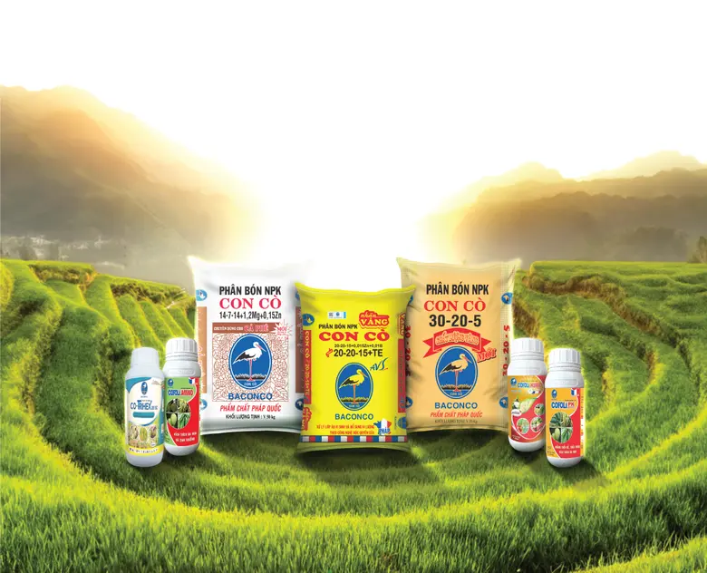 บริษัท พีเอ็ม โทรีเซน เอเชีย โฮลดิ้งส์ จำ...