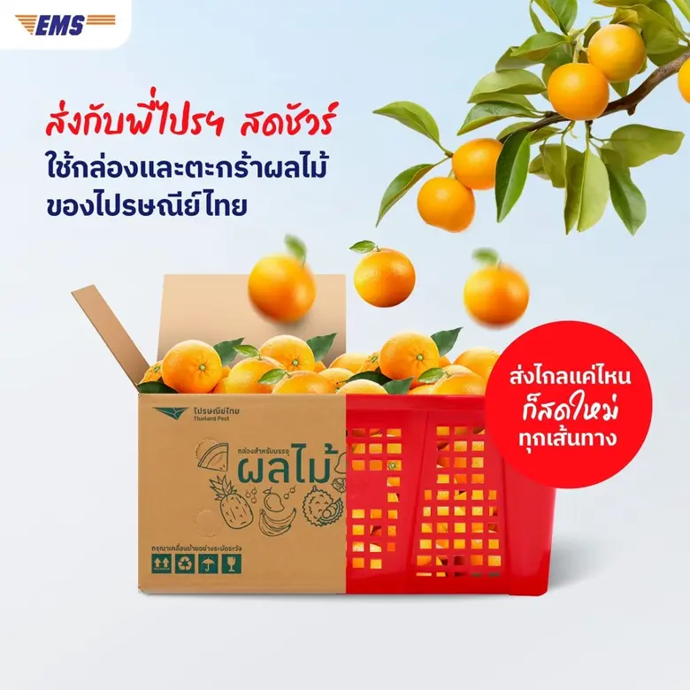 บริษัท ไปรษณีย์ไทย จำกัด พร้อมสนับสนุนเกษ...