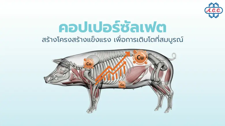 ในโลกของการเลี้ยงสัตว์ ไม่ว่าจะเป็นสัตว์ป...