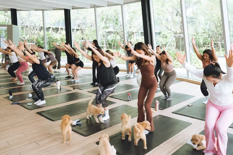 Take a deep Breath, Stretch, and Smile -Celebrating Social Wellness Month with a Heartwarming Puppy Yoga at The PARQ