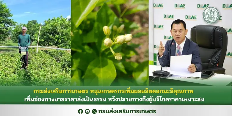 นายวีรศักดิ์ บุญเชิญ รองอธิบดีกรมส่งเสริม...