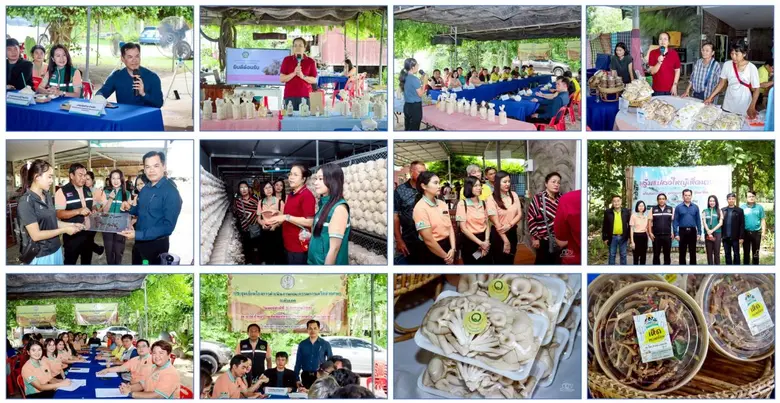 สำนักงานส่งเสริมและพัฒนาการเกษตรที่ 2 จังหวัดราชบุรี พร้อมคณะกรรมการเครือข่าย ศพก. ระดับเขต และคณะกรรมการแปลงใหญ่ ระดับเขต ติดตามการดำเนินงานแปลงใหญ่ต้นแบบ จังหวัดราชบุรี
