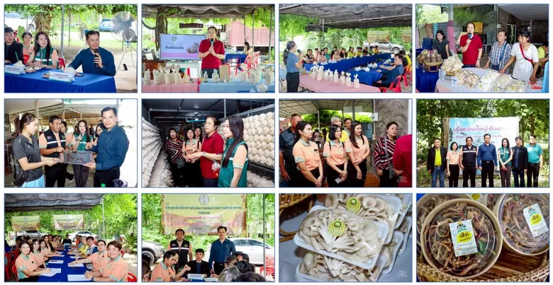 สำนักงานส่งเสริมและพัฒนาการเกษตรที่ 2 จังหวัดราชบุรี พร้อมคณะกรรมการเครือข่าย ศพก. ระดับเขต และคณะกรรมการแปลงใหญ่ ระดับเขต ติดตามการดำเนินงานแปลงใหญ่ต้นแบบ จังหวัดราชบุรี