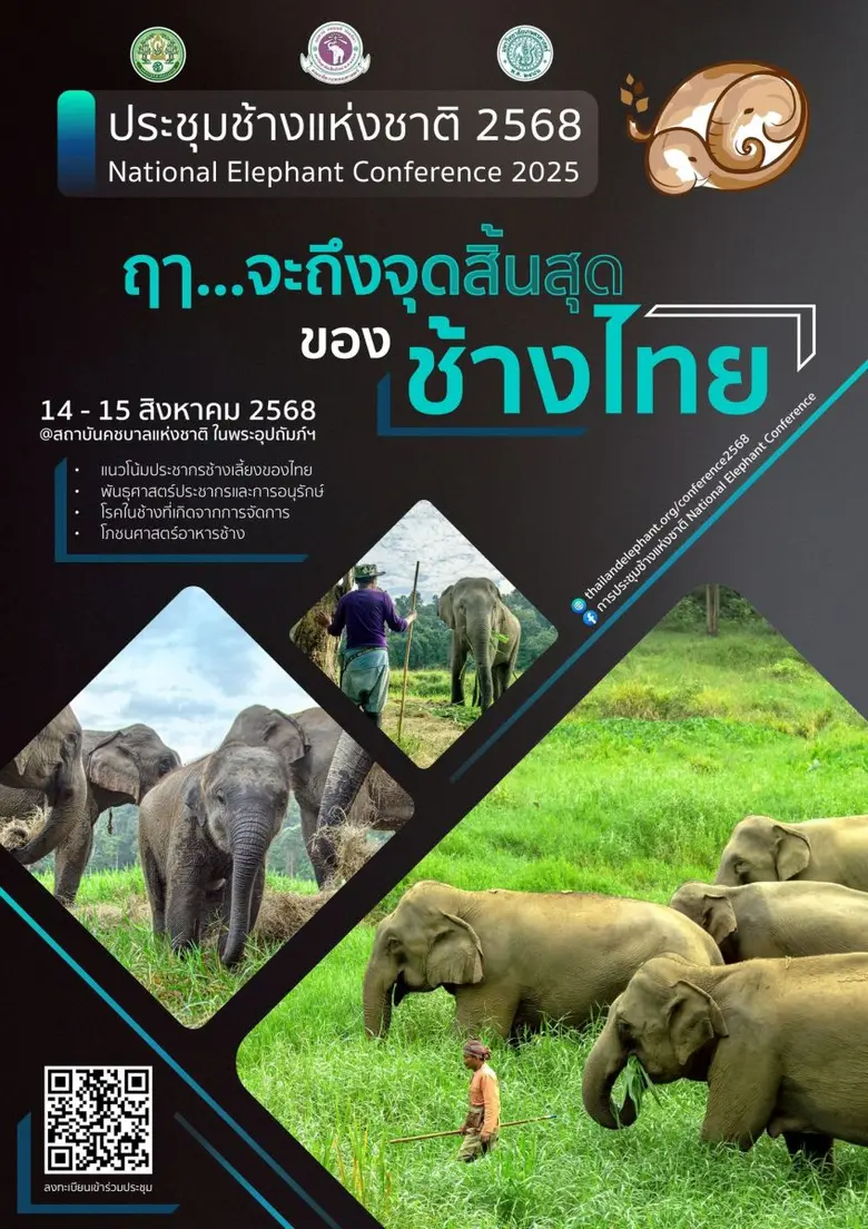 อ.อ.ป. - มช. - มก. ผนึกกำลังจัด 'การประชุมช้างแห่งชาติ ครั้งที่ 12' ต่อยอด 'องค์ความรู้' สู่การอนุรักษ์และบริบาลช้างไทย...