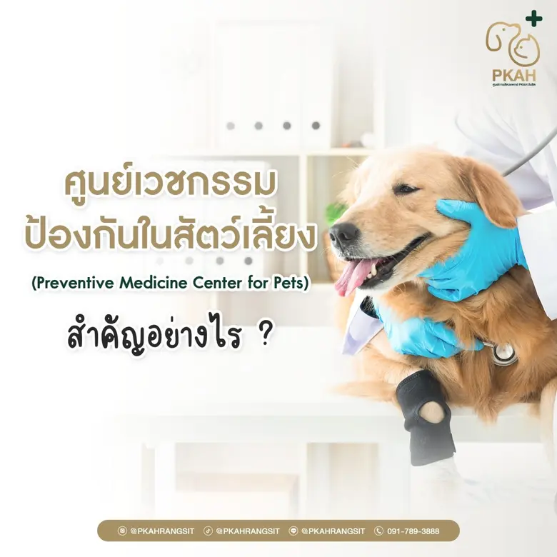ปกป้องสุขภาพสัตว์เลี้ยงตั้งแต่วันนี้ ด้วยโปรแกรมเวช...