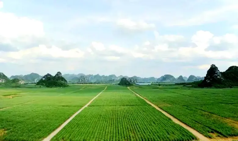 Guangxi Sungain Sugar Industry Group Co., Ltd. Loca...