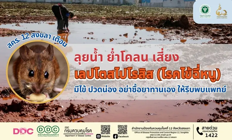 สำนักงานป้องกันควบคุมโรคที่ 12 จังหวัดสงขลา (สคร.12...