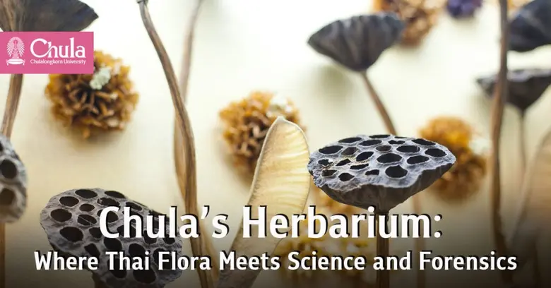 The Department of Botany, Faculty of Scie...