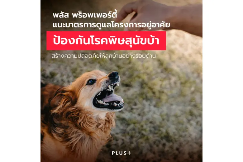จากที่กรุงเทพมหานคร ได้ประกาศเตือน 11 พื้...