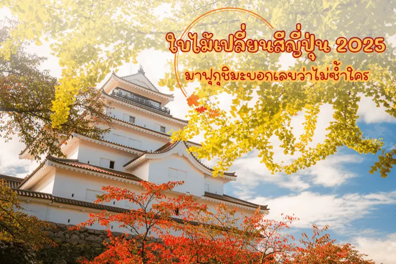 เมื่อพูดถึง "ใบไม้เปลี่ยนสี" ญี่ปุ่นมักเป...
