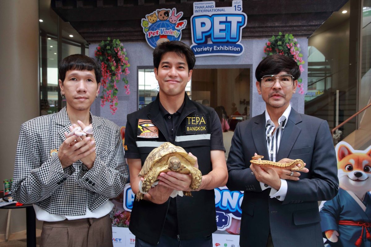 วันหยุดที่ผ่านมา พื้นที่ ชาน แอท ดิ อเวนิ...