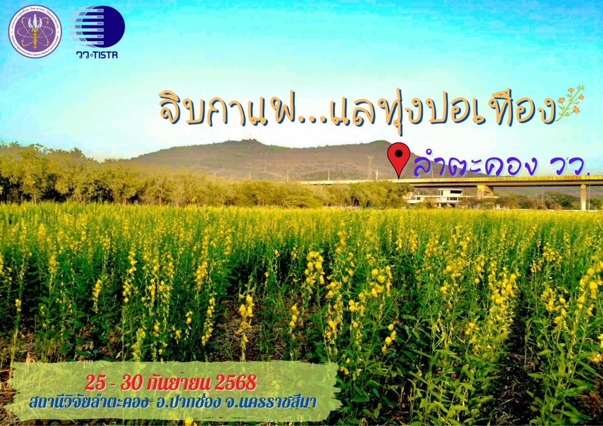 กระทรวงการอุดมศึกษา วิทยาศาสตร์ วิจัยและน...