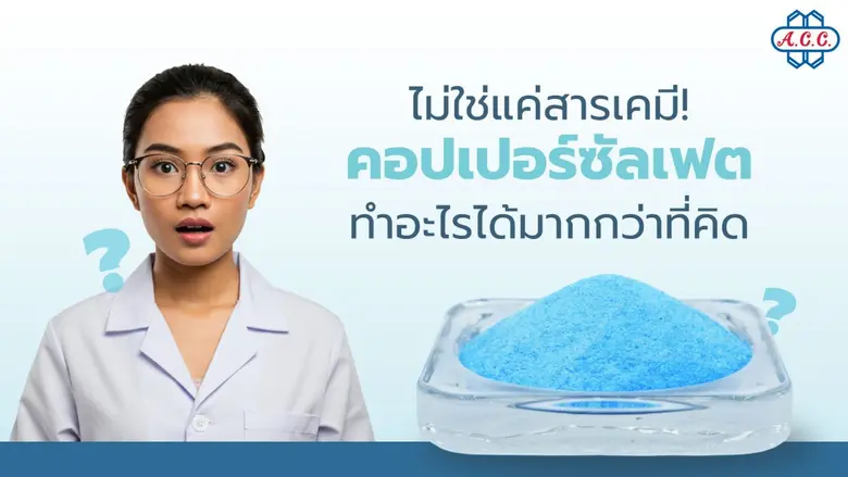 คุณอาจไม่เคยรู้ว่า คอปเปอร์ซัลเฟต (Copper...
