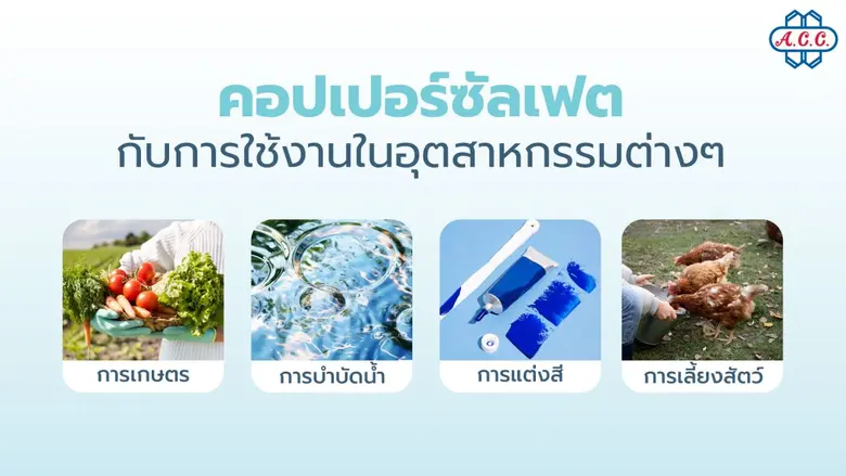 ไม่ใช่แค่สารเคมี! คอปเปอร์ซัลเฟตทำอะไรได้มากกว่าที่คุณคิด