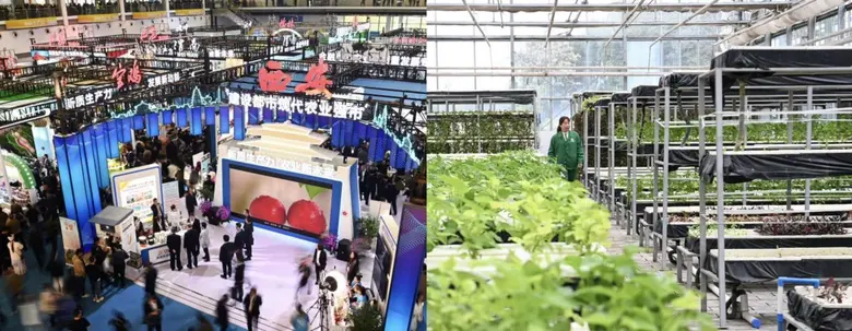 The 32nd China Yangling Agricultural Hi-T...