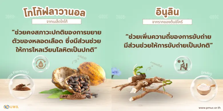 บพข. สำเร็จ! ดัน "โกโก้ฟลาวานอล" และ "อินูลิน" ผ่าน อย. ขึ้นทะเบียน Positive List เคลมสรรพคุณบนฉลากได้ทันที ไม่ต้องขออนุญาตซ้ำ