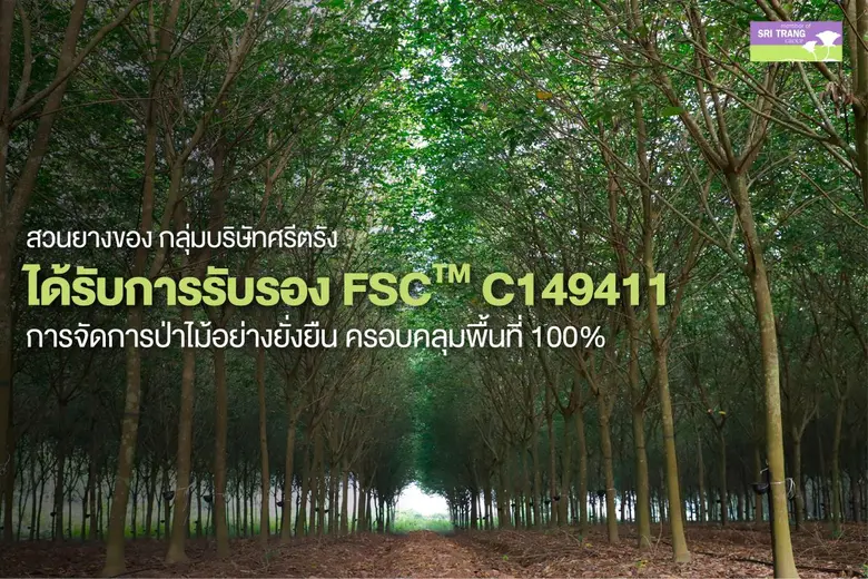 Sri Trang Group Achieves FSC(TM) Certification Covering 100% of Rubber Plantations, Reinforcing Leadership in Sustainability