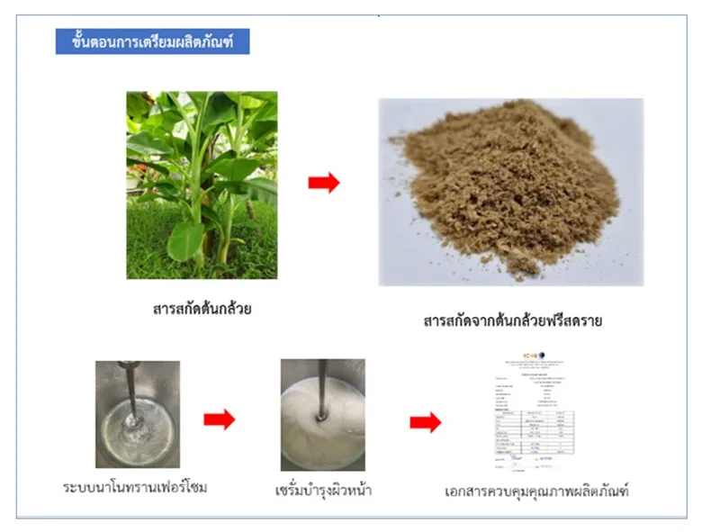 วว. พัฒนาต้นแบบเวชสำอางจากสารสกัดต้นกล้วย