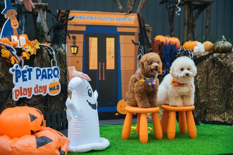 Awaken the Spirit of Halloween with Furry Friends - PET PARQ PLAY DAY VOL.3, Experience Heartwarming Happiness and Joyful Balance at The PARQ.