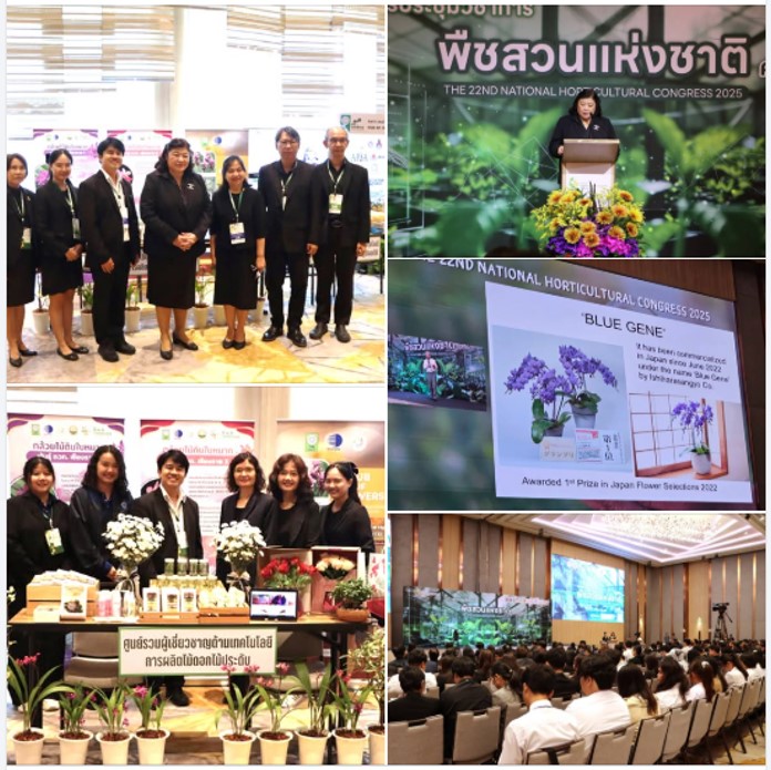 กระทรวงการอุดมศึกษา วิทยาศาสตร์ วิจัยและน...