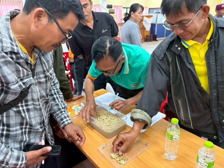 สำนักงานเกษตรอำเภอเมืองเพชรบูรณ์ ร่วมกับส...