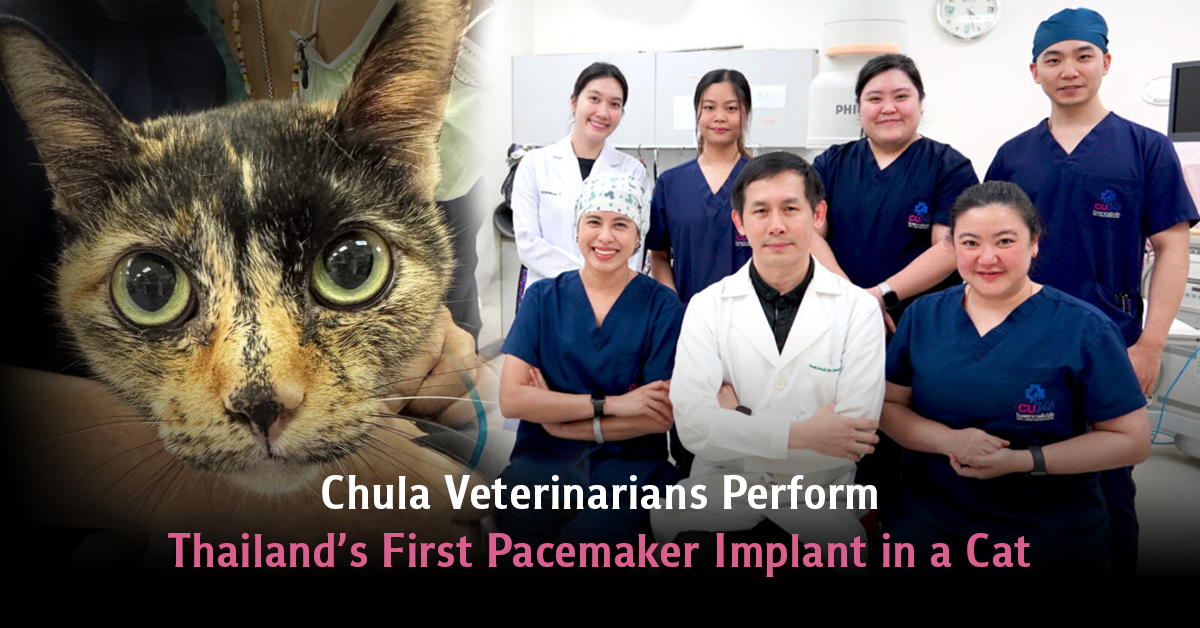 In a groundbreaking medical milestone, ve...