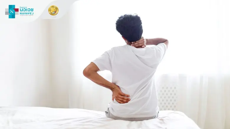 หมอนรองกระดูก (Intervertebral disc) มีลัก...