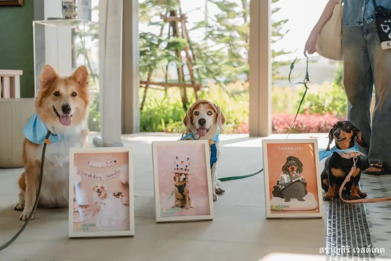 "ห้องสัตว์เลี้ยงตัวอย่าง" แห่งแรก ที่ "สร...