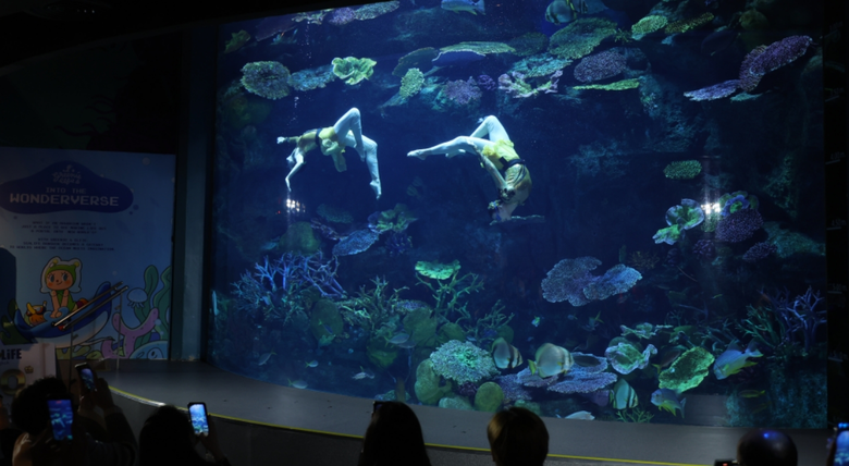 ซีไลฟ์ แบงคอก ฉลองครบรอบ 20 ปี ยิ่งใหญ่ จัดแสดง Dive Into the Water Dance Show! สุดอลังการ พร้อมเปิดตัวมูลนิธิซีไลฟ์แบงคอก พลัส