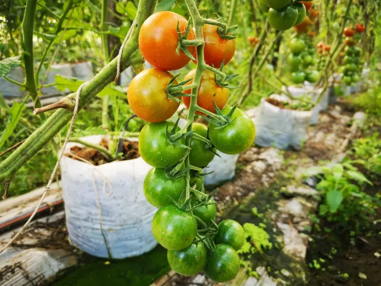 Driven by its commitment to strengthening...