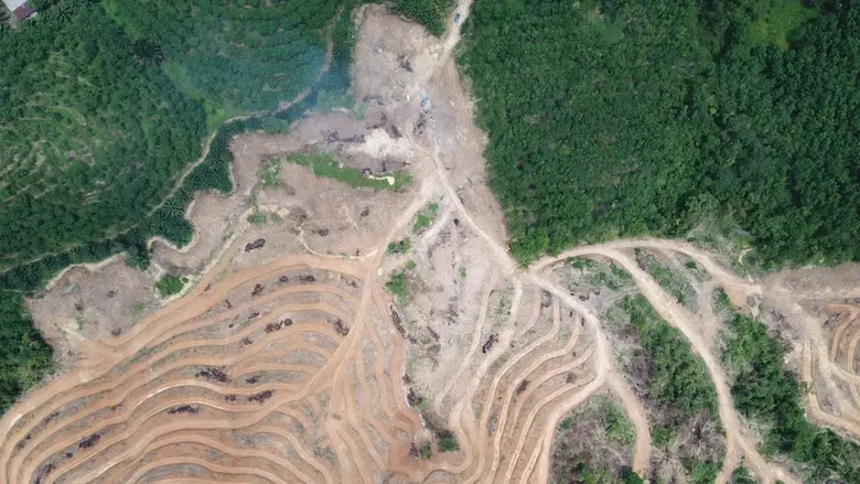 หลัง COP30 ภาคธุรกิจไทยเร่งยกระดับห่วงโซ่อาหาร สู่มาตรฐานสากลด้านความยั่งยืน