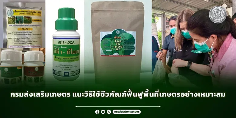 การฟื้นฟูพื้นที่เกษตรหลังน้ำลดเป็นสิ่งสำค...