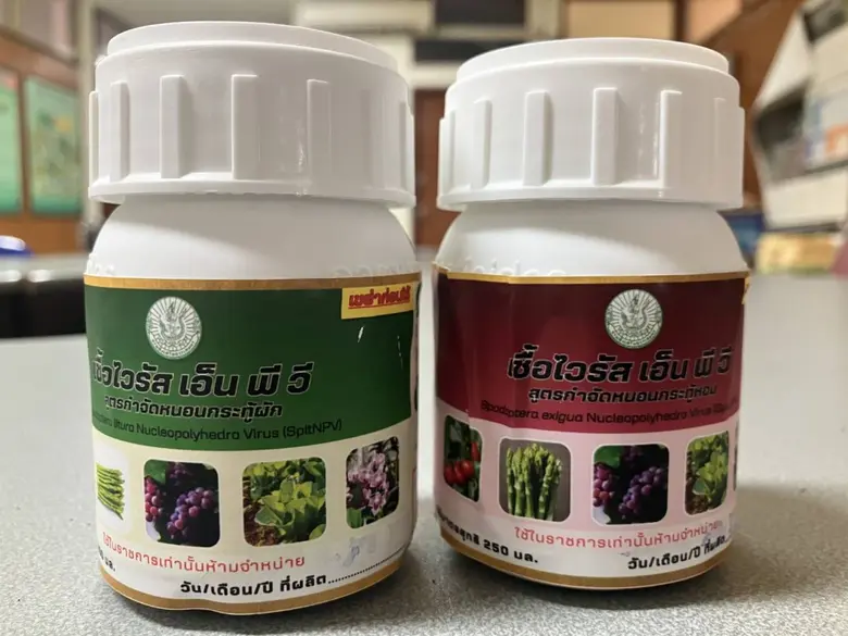 กรมส่งเสริมเกษตร แนะวิธีใช้ชีวภัณฑ์ฟื้นฟูพื้นที่เกษตรอย่างเหมาะสม