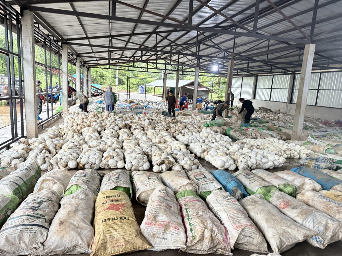 มั่นใจ! ชาวสวนยางมีตลาดรองรับผลผลิตที่เป็...