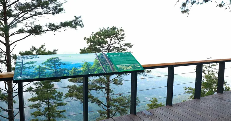 EGCO Group โดย มูลนิธิไทยรักษ์ป่า ส่งมอบ "เส้นทางศึกษาธรรมชาติยอดดอยปุย" เส้นทางป่าหลังบ้านเมืองเชียงใหม่ ชูแหล่งเรียนรู้นิเวศประวัติศาสตร์ที่เข้าถึงง่าย