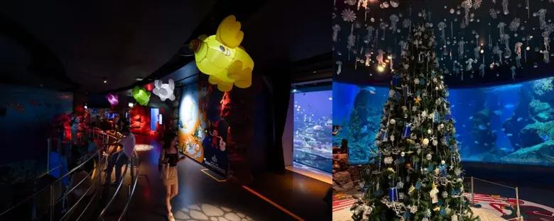 คริสต์มาสนี้ไม่เหมือนเดิม! ซีไลฟ์ แบงคอก ...