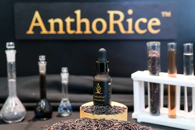 จุฬาลงกรณ์มหาวิทยาลัยร่วมมือกับมหาวิทยาลัยมหิดลยกระ...