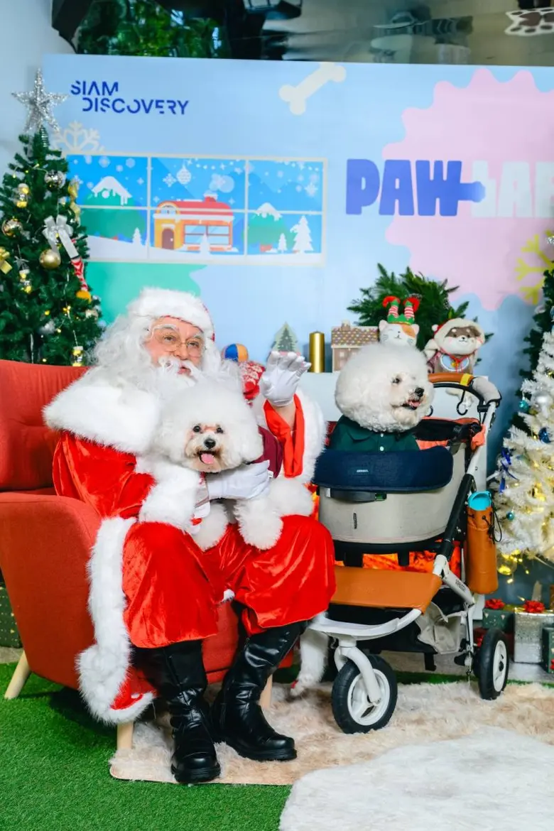 สยามดิสคัฟเวอรี่ ชวนเพื่อนสี่ขาฉลองเทศกาลมาร่วมค้นพบความสุขที่ PAW LAB