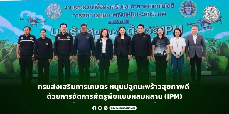 มะพร้าวเป็นพืชเศรษฐกิจสำคัญของประเทศไทย มีพื้นที่ปล...