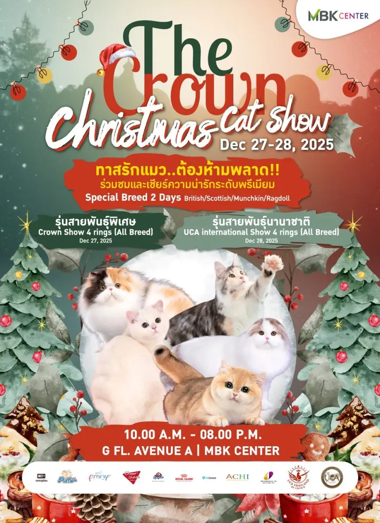 งานประกวดแมวสุดหรูส่งท้ายปีที่ทุกคนรอคอย ประชันเหล่...