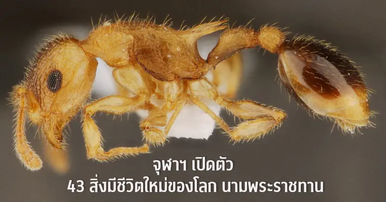 จุฬาลงกรณ์มหาวิทยาลัย โดยศูนย์สื่อสารองค์กร ร่วมกับ...