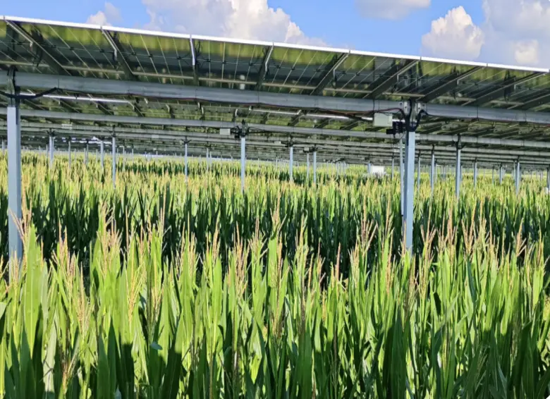 By Elva Wang, Group Director of South, Southeast & ...