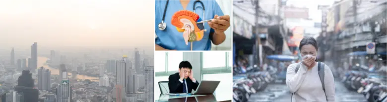 ย้ำคนไทยเลี่ยงวันฝุ่นหนา-สวม N95 เซฟสมองก...