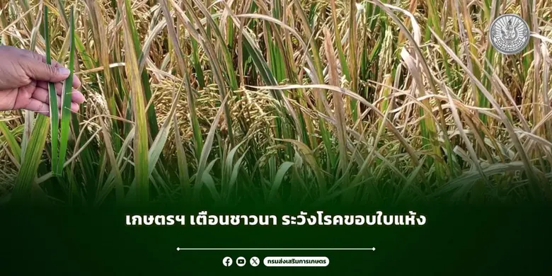 เนื่องจากการพยากรณ์ของกรมอุตุนิยมวิทยาเกี...