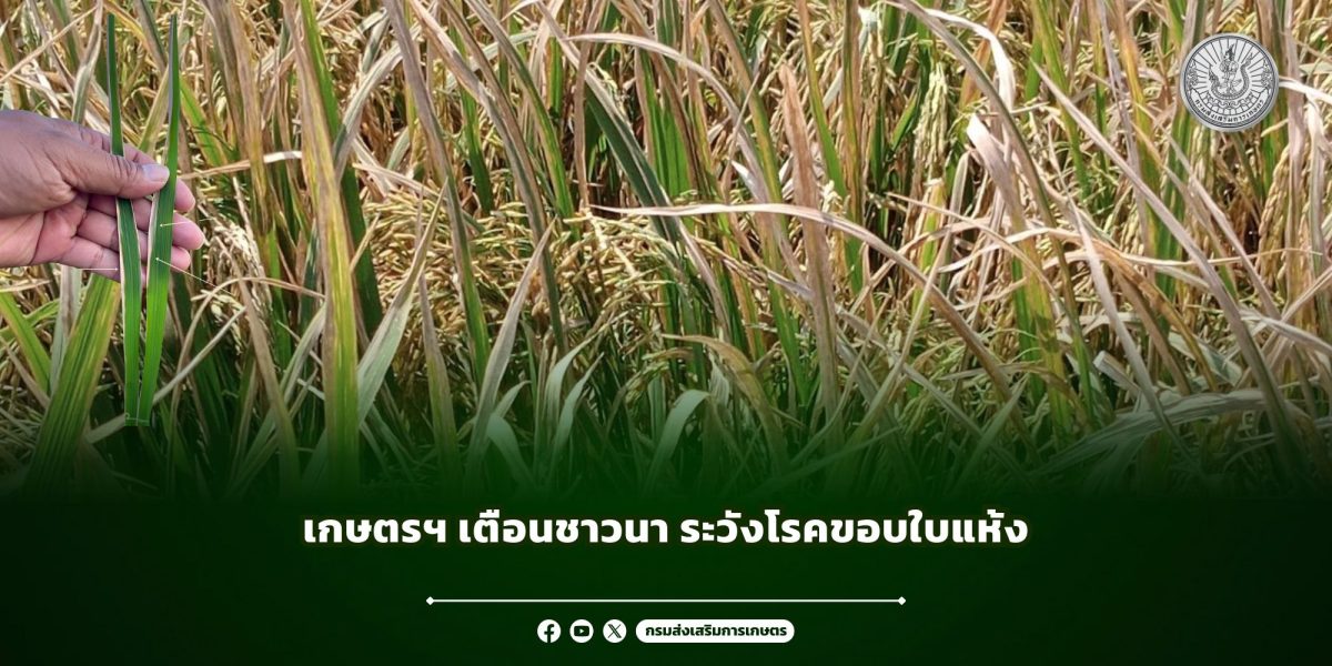 เนื่องจากการพยากรณ์ของกรมอุตุนิยมวิทยาเกี...