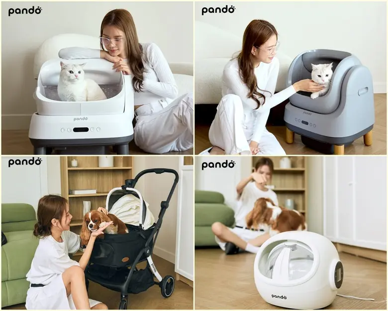 Pando Unveils Major Rebrand After Five Years, Launches Online Shopping Portal with Rabbit Rewards Partnership