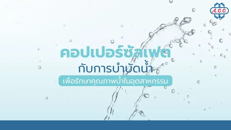 ปัญหาความขุ่นและกลิ่นไม่พึงประสงค์ในระบบน้ำเสียอุตส...