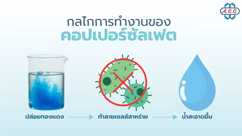 เจาะลึกบทบาท คอปเปอร์ซัลเฟต ในการบำบัดน้ำเสียอุตสาหกรรม เทคนิคควบคุมจุลินทรีย์และสาหร่ายเพื่อคุณภาพน้ำที่เป็นมิตรต่อสิ่งแวดล้อม