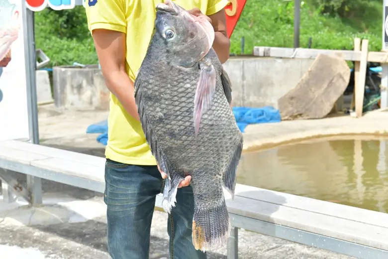 พร้อมเดินหน้าหนุน "ท่องเที่ยวเชิงอาหาร" ย...